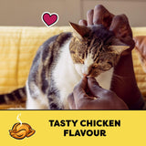 TEMPTATIONS Cat Treats, Tasty Chicken Flavour, 85g (12 Pack)