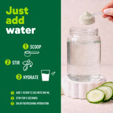 Organika Canadian-Made Electrolytes Powder with Vitamin C & Prebiotic Fibre - Sugar-Free Hydration Drink Mix - Cucumber Pear - 210 g - 60 servings