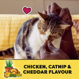 TEMPTATIONS Mix-Ups Adult Cat Treats Chicken, Catnip & Cheese Flavour, 850g Tub