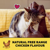 TEMPTATIONS Cat Treats, All Natural Free Range Chicken Flavour, 160g Pouch (10 Pack)