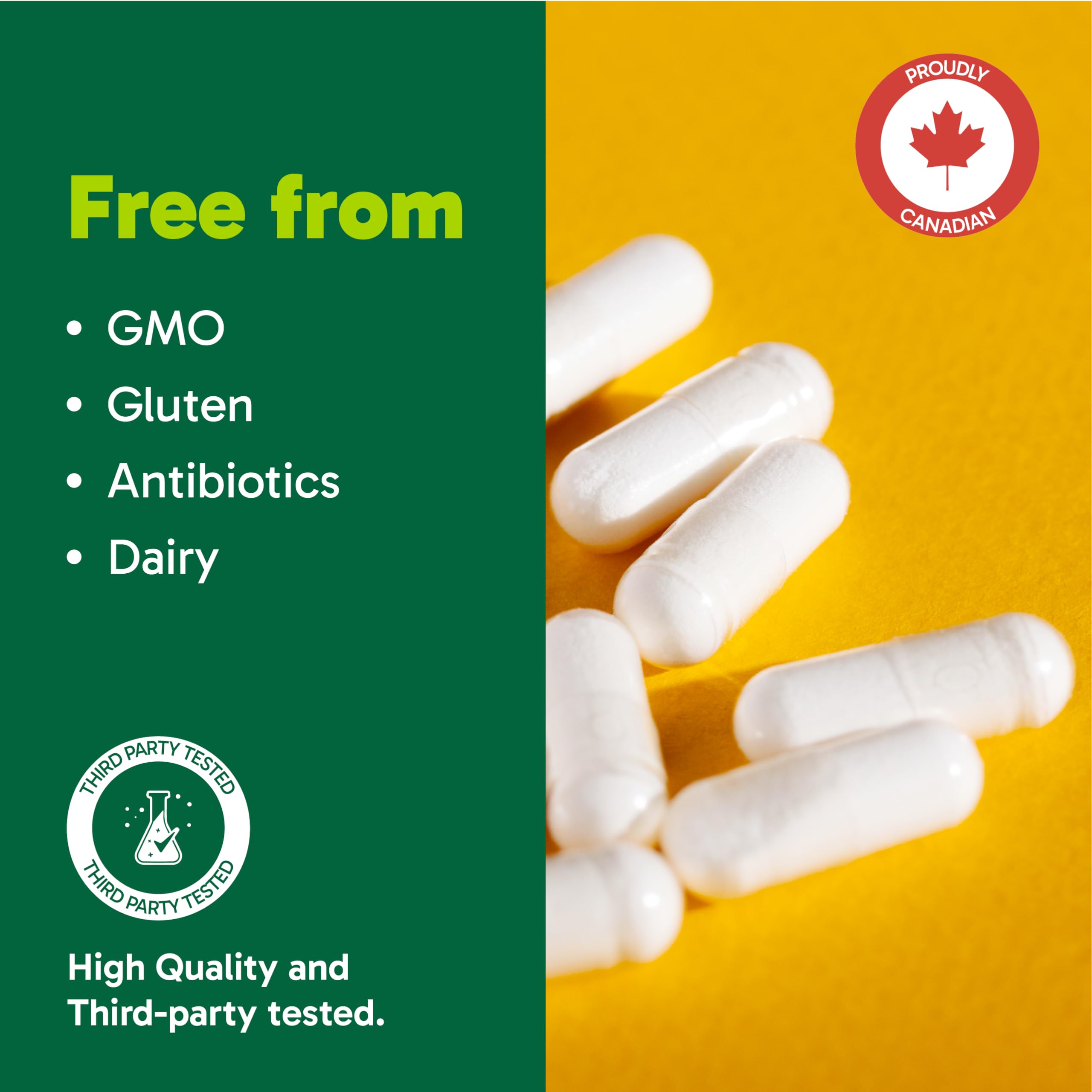 Organika Full Spectrum Plant Enzymes- Helps Break Down Carbs, Fat, Protein, Dairy- 60 vcaps