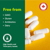 Organika Full Spectrum Plant Enzymes- Helps Break Down Carbs, Fat, Protein, Dairy- 60 vcaps