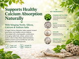 A.Vogel Calcium Absorber Homeopathic Remedy for Growing Pain, and Osteoporosis Relief - Stinging Nettle Herb with Silicea, Calcium, Sodium Salts for Brittle Hair and Nails Support