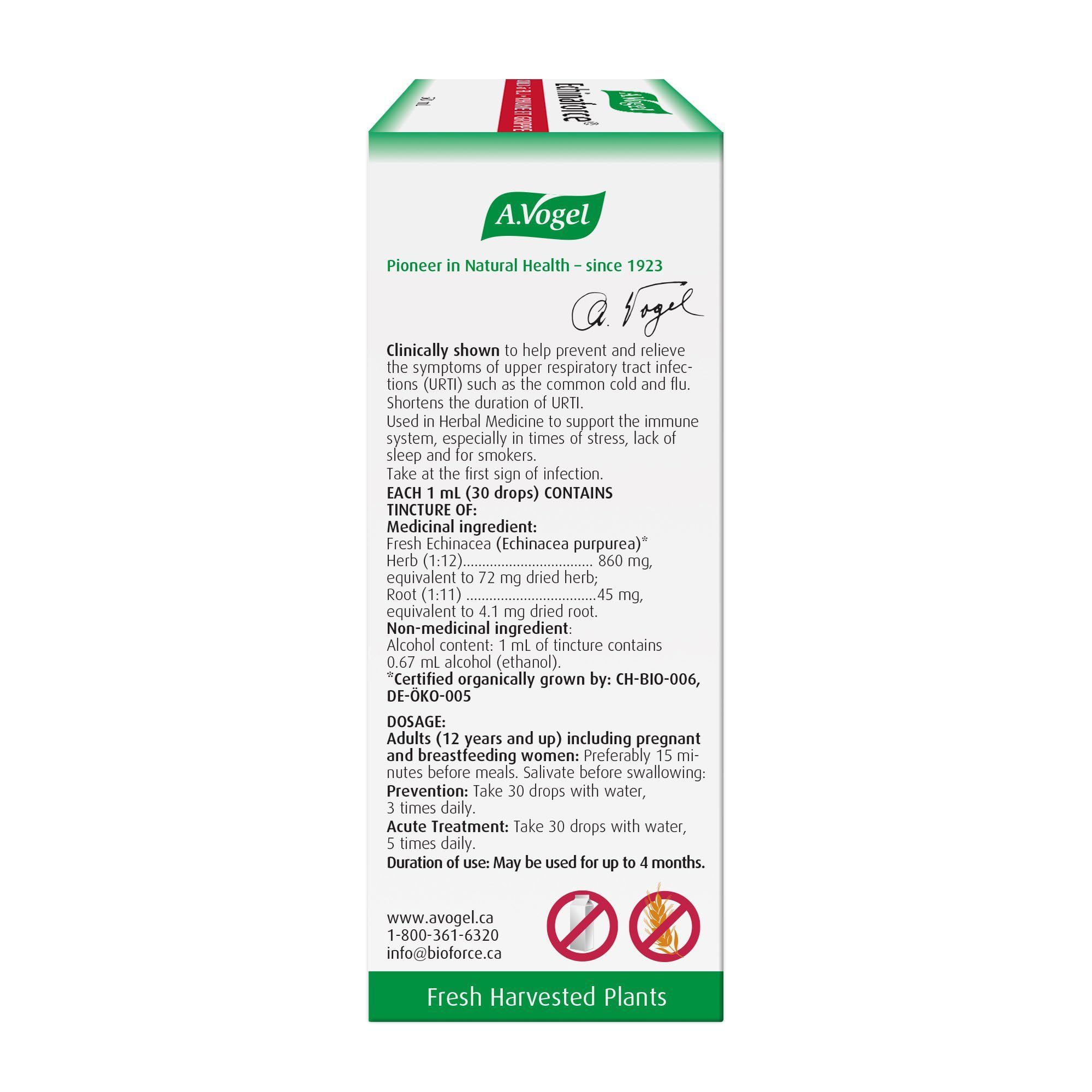 A.Vogel - Echinaforce liquid 100 mL - The proven extract for Cold & Flu, accelerates immune response