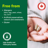 Organika Canadian-Made Lion's Mane - Ultra Strength Organic Mushroom Extract - 2800mg - Nootrophic, Natural Support for Memory, Mood, Neuroprotection and Cognition - 120vcaps, 120 Day Supply