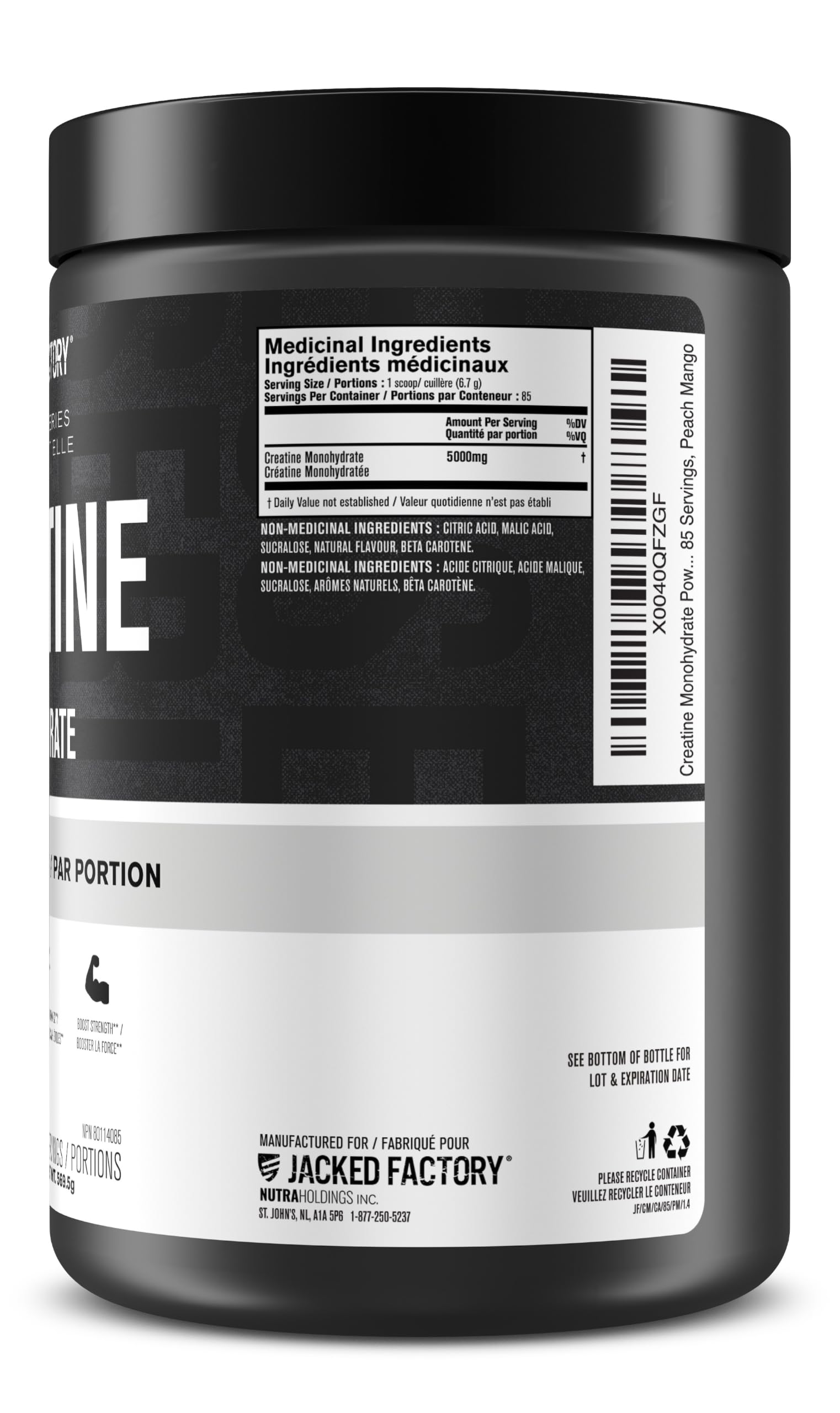 Jacked Factory Creatine Monohydrate Powder 569.5g - Canadian-Owned Informed Choice Certified Supplement for Increased Muscle Mass, Improved Strength, Power, and Performance* - 85 Servings, Peach Mango