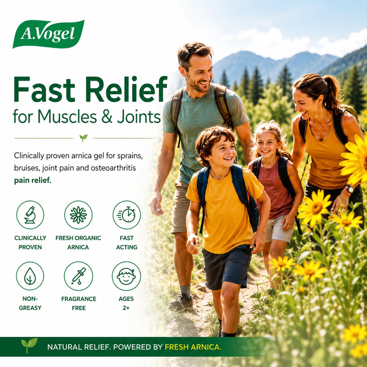 A.Vogel Absolüt Arnica – Natural Pain Relief for Muscle & Joint Pain, Bruises, Sprains – Fast-Acting, Anti-Inflammatory Arnica Gel – For Adults & Children 2+ – 50 mL