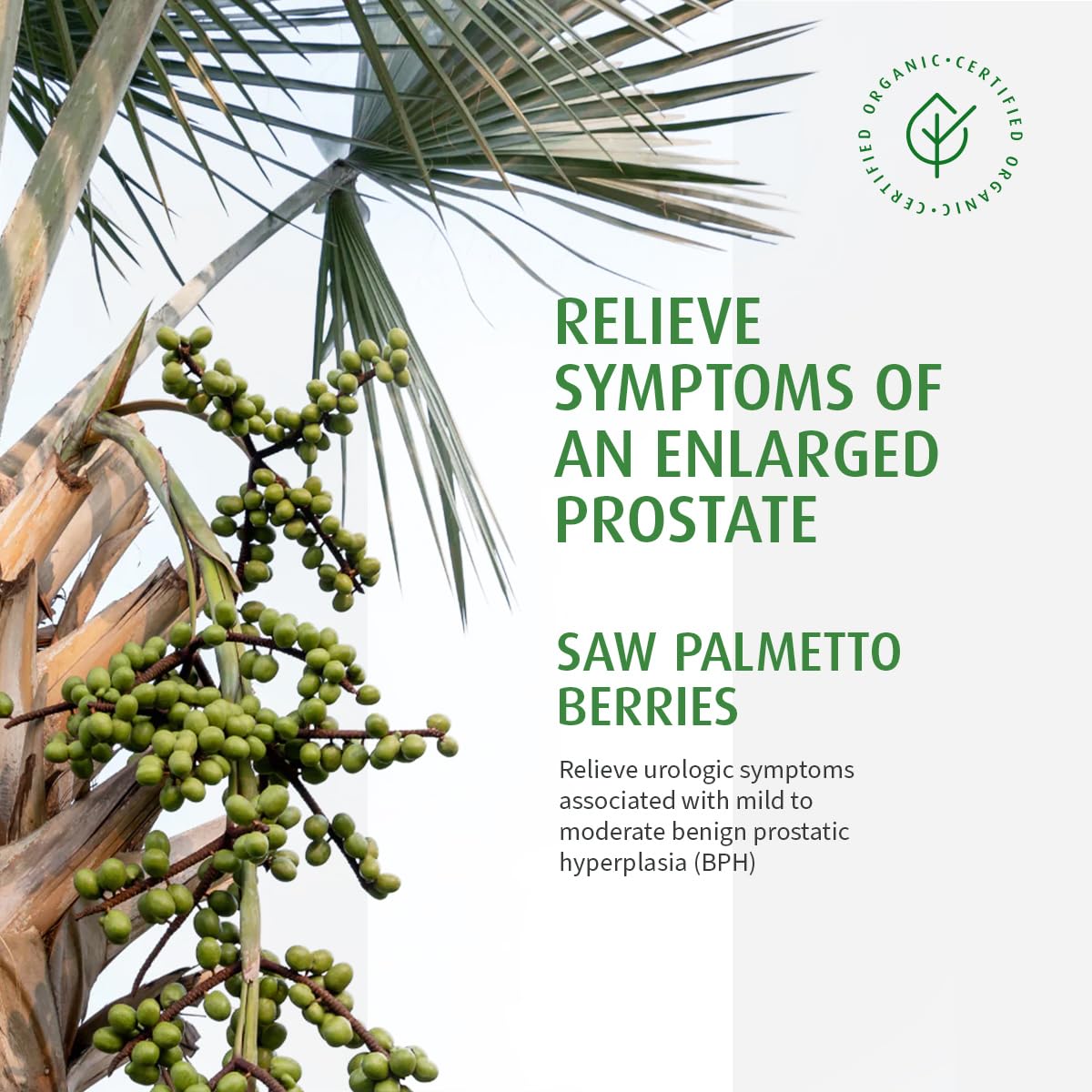 A.Vogel Organic Saw Palmetto Capsules for Prostate Health - Enlarged Prostate Symptoms Relief, Frequent Urination, Weak Urine Flow - 30 Caps