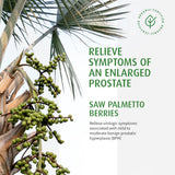A.Vogel Organic Saw Palmetto Capsules for Prostate Health - Enlarged Prostate Symptoms Relief, Frequent Urination, Weak Urine Flow - 30 Caps