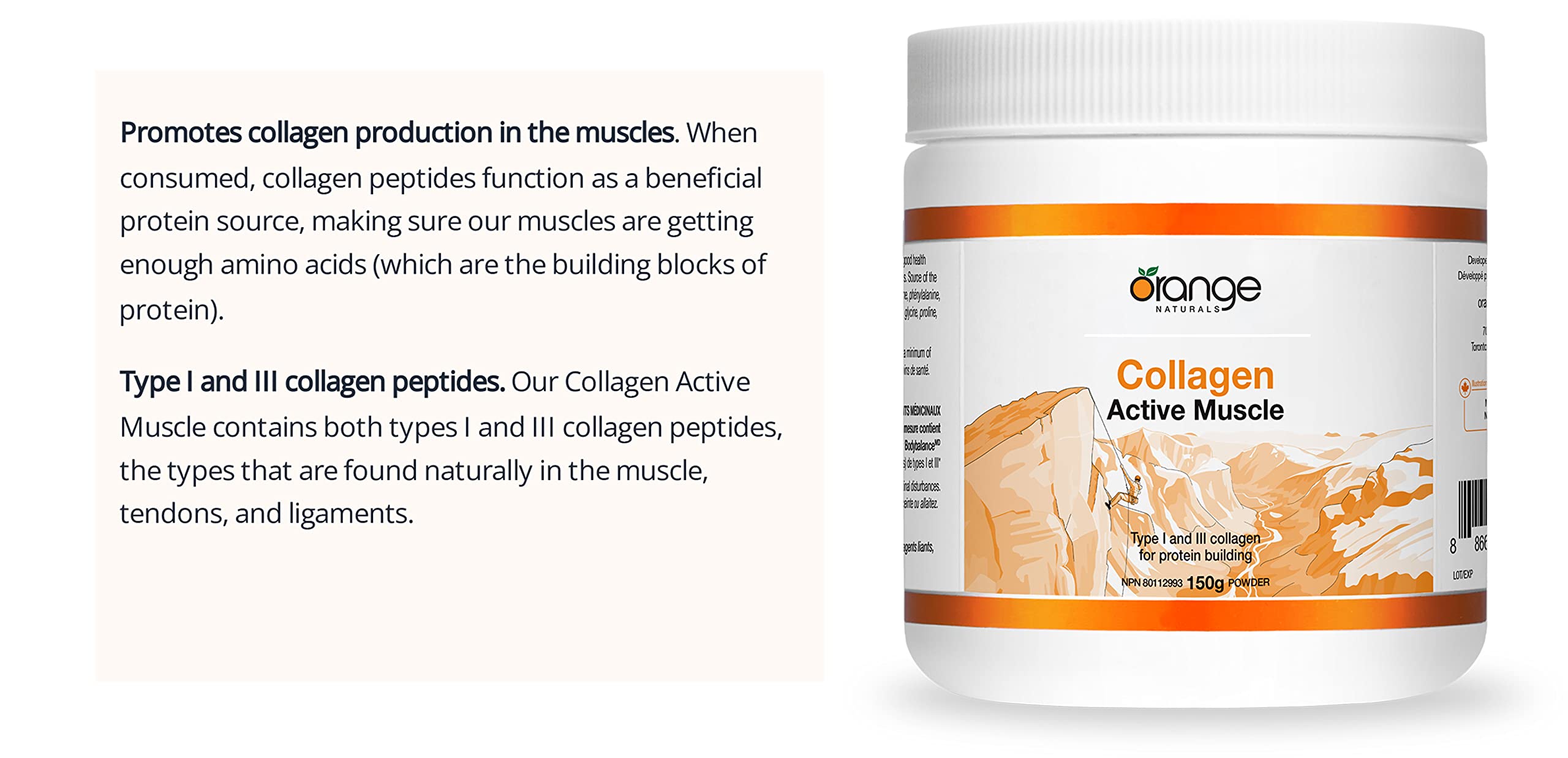 Orange Naturals - Collagen Active Muscle, 150g Powder - Bioactive Collagen Peptides Powder - Hydrolyzed Collagen Protein Powder - Collagen Supplement Powder -Hydrolyzed Collagen Powder-Collagen Powder