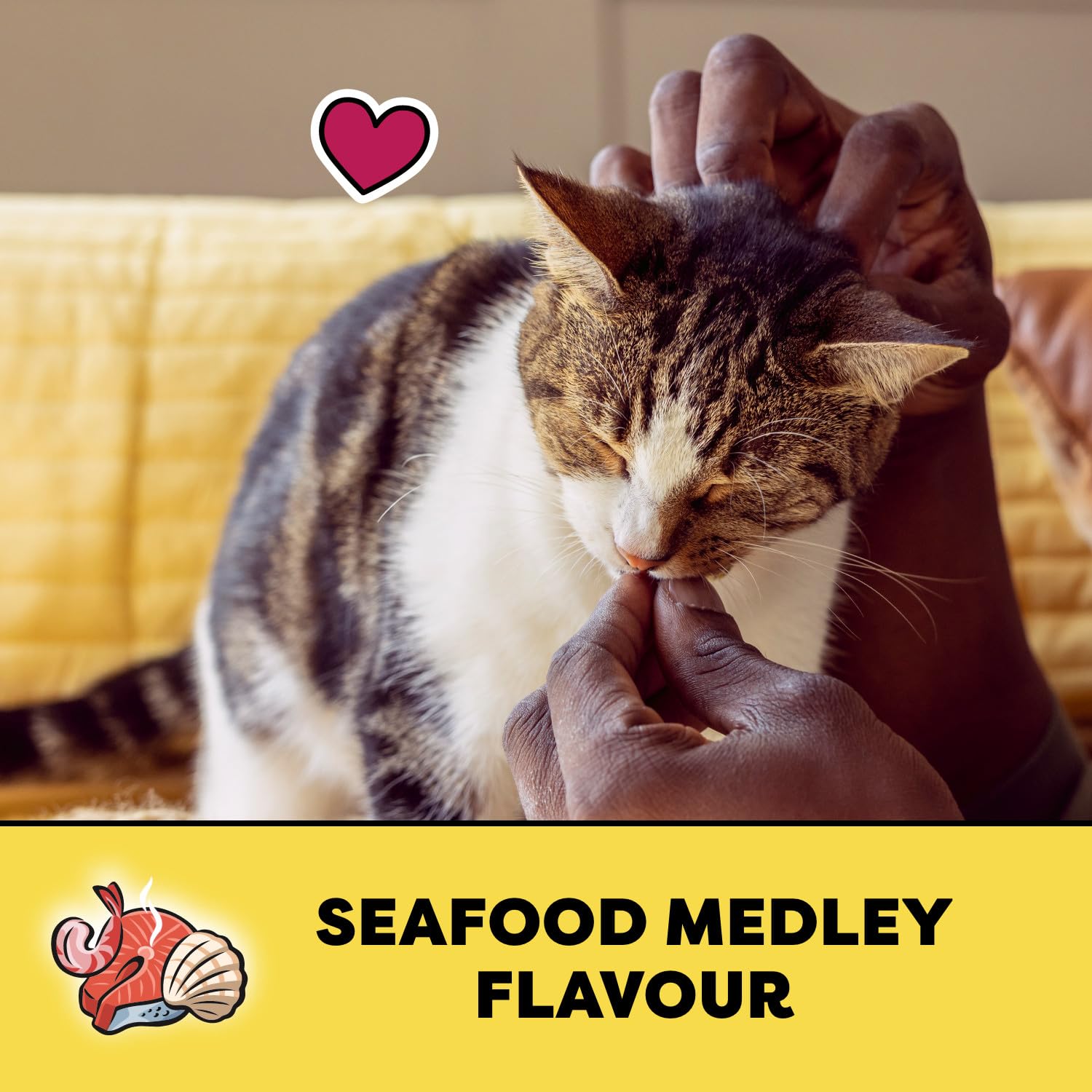 TEMPTATIONS Cat Treats, Seafood Medley Flavour, 454g Tub (Pack of 2)