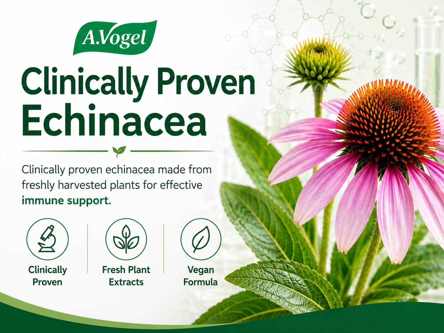 A.Vogel Echinaforce Echinacea Tincture 50mL – Clinically Proven Cold & Flu Relief - Immune Support Drops - 860 mg Fresh Organic Echinacea - Sugar-Free & Pregnancy Safe