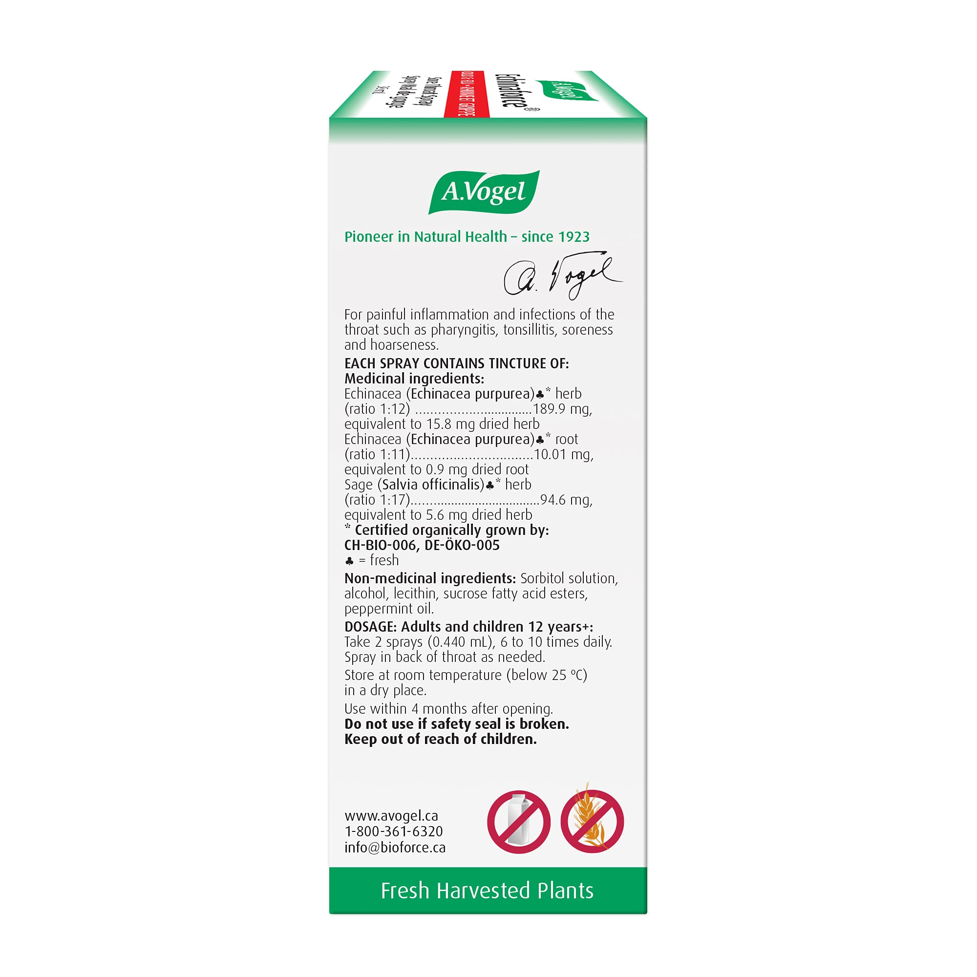 A.Vogel Echinaforce Sore Throat Spray Fast Acting Relief with Organic Echinacea Purpurea and Sage | Clinically Proven | Lactose Free, Vegan and Cruelty-Free | 30mL