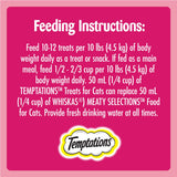 TEMPTATIONS Cat Treats, Hearty Beef Flavour, 454g Tub (Pack of 2)