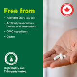 Organika Magnesium L-Threonate- High Absorption to Boost Magnesium Levels- 90vcaps
