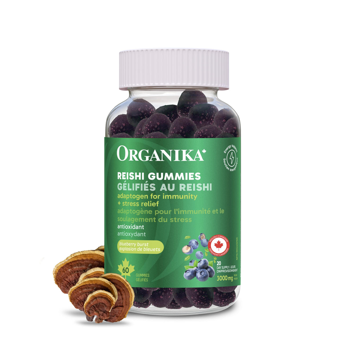 Organika Reishi Mushroom Gummies– Adaptogen for Stress, Immunity & Energy Support | Antioxidant & Liver Health Support | Vegan Mushroom Supplement for Daily Balance |Blueberry Flavour- 60 gummies