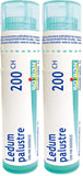Boiron Ledum palustre 200ch,Homeopathic medicine. Each tube contains 4 g (approximately 80 pellets) (Pack of 2)