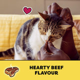 TEMPTATIONS Cat Treats, Hearty Beef Flavour, 85g (12 Pack)