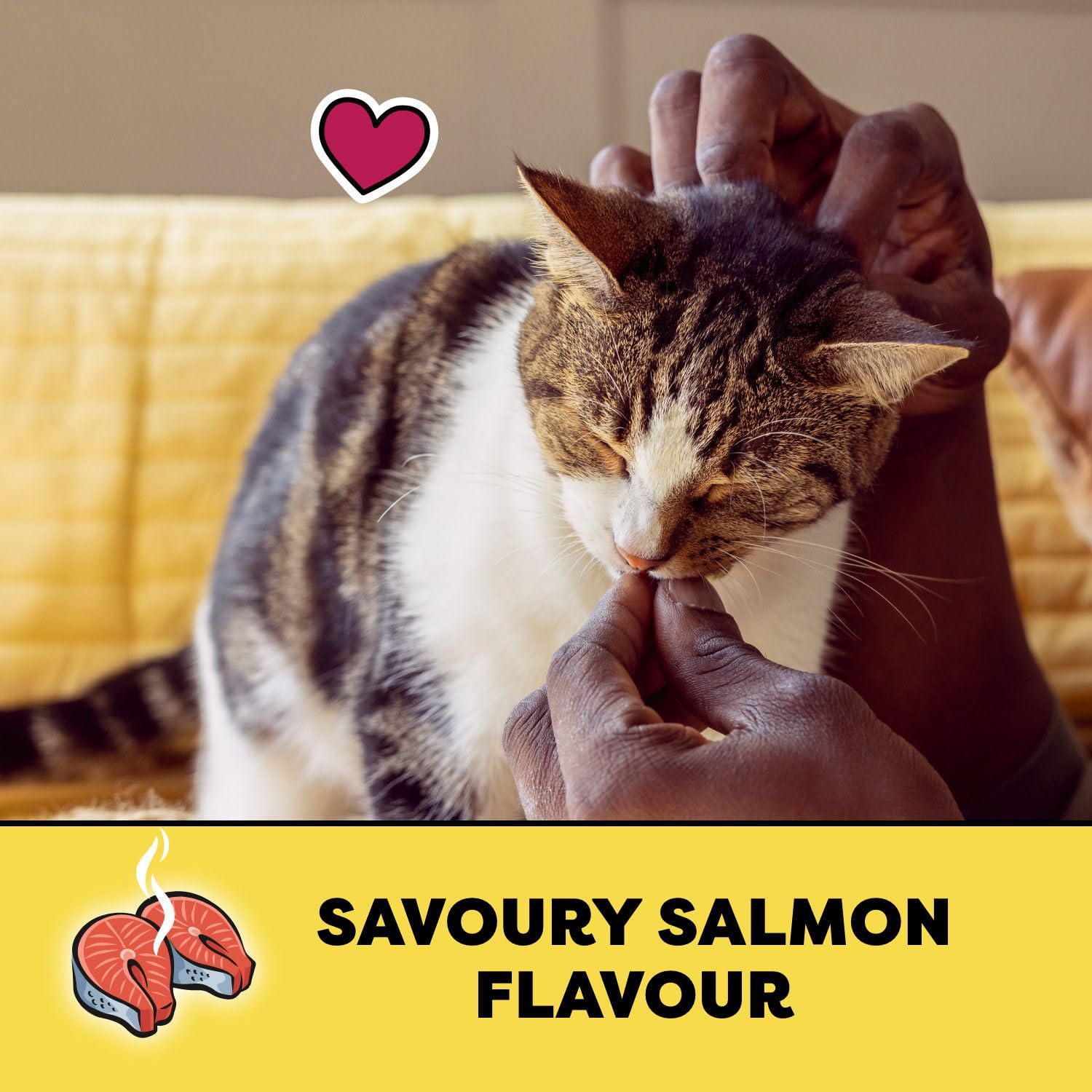 TEMPTATIONS Cat Treats, Savoury Salmon Flavour, 85g (12 Pack)