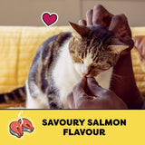 TEMPTATIONS Cat Treats, Savoury Salmon Flavour, 85g (12 Pack)