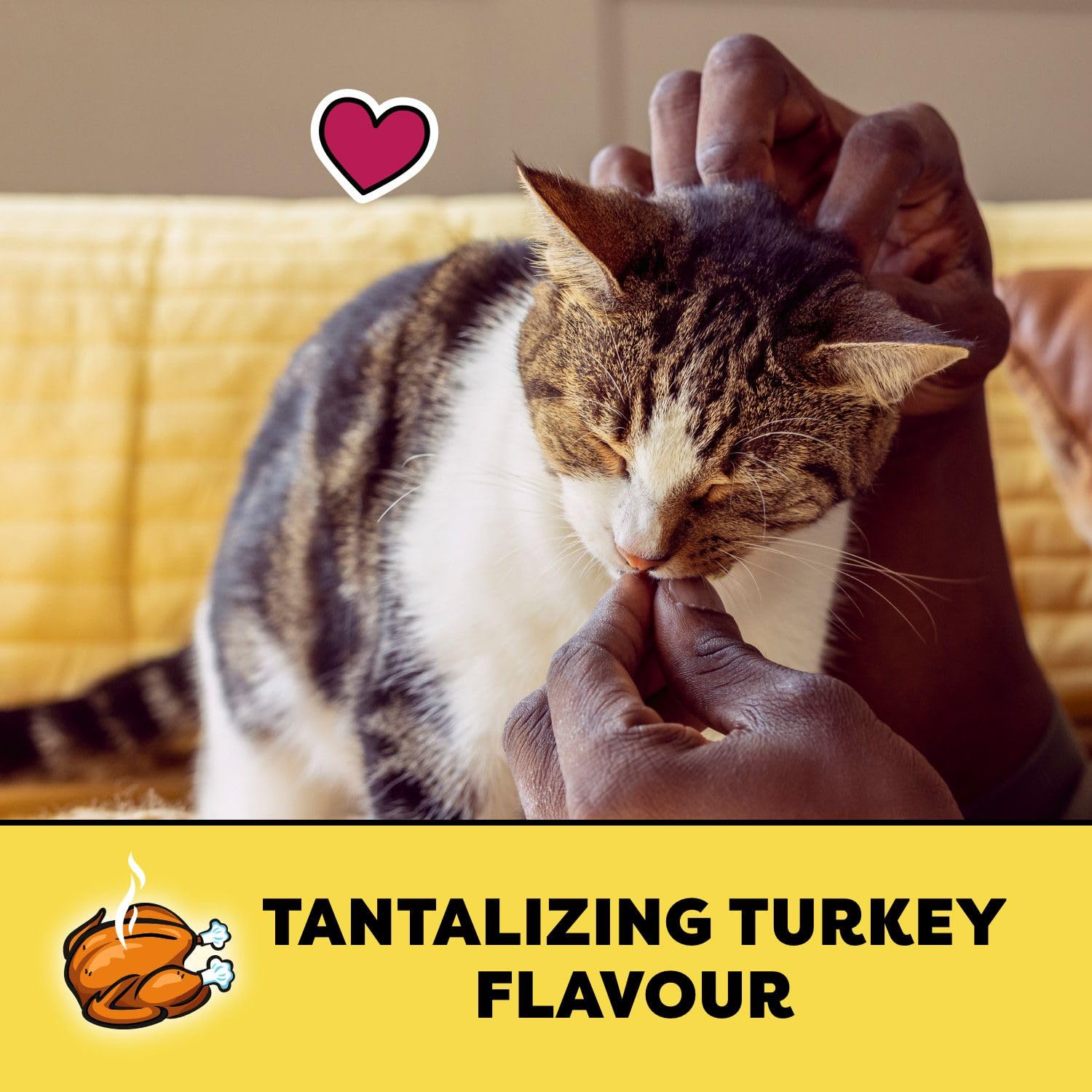TEMPTATIONS Cat Treats, Tantalizing Turkey, 180g (10 Pack)