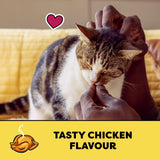 TEMPTATIONS Cat Treats, Tasty Chicken Flavour, 180g (10 Pack)