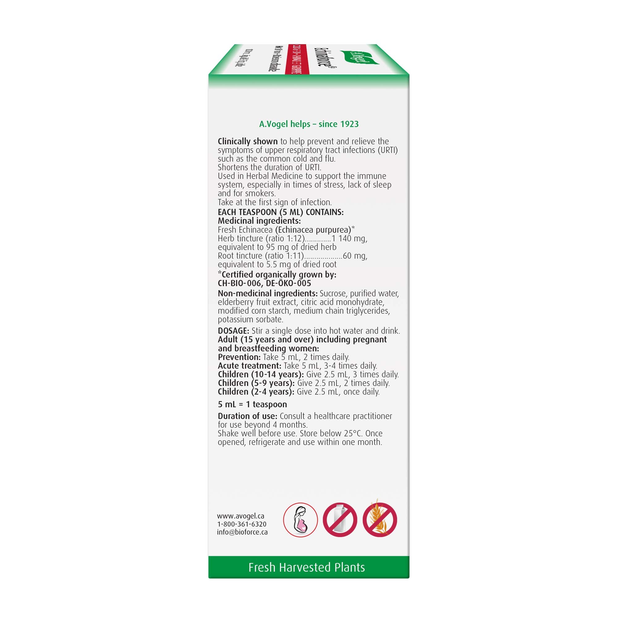 A.Vogel Echinaforce Extra Hot Drink with Elderberry and Echinacea - Extra-Strength Formula - Relieves Common Cold and Flu Symptoms - Immune booster - Children 2+ - 100 mL