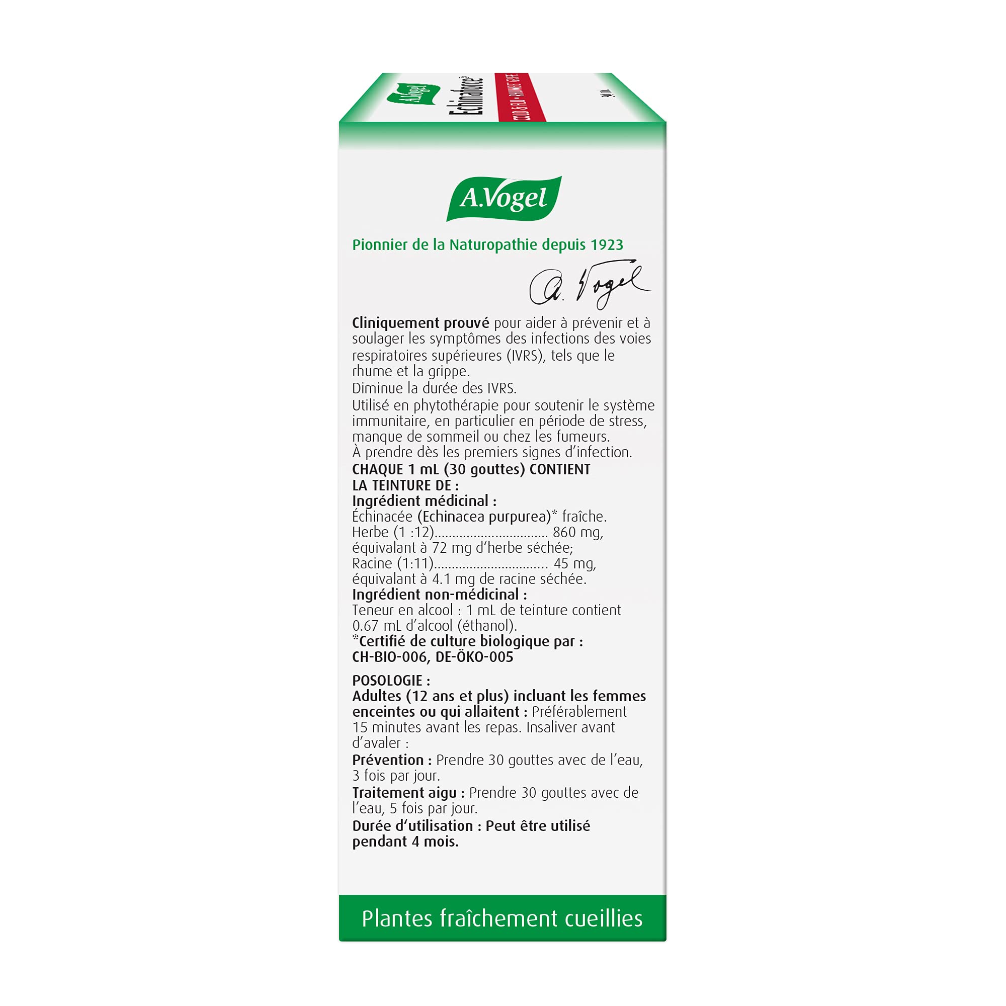 A.Vogel Echinaforce Echinacea Tincture 50mL – Clinically Proven Cold & Flu Relief - Immune Support Drops - 860 mg Fresh Organic Echinacea - Sugar-Free & Pregnancy Safe