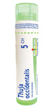 Boiron Thuja occidentalis 5ch,Homeopathic medicine. Each tube contains 4 g (approximately 80 pellets)