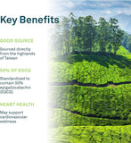 Organika Green Tea Extract 120 Vcaps