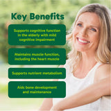 Organika Brain Mag- Magtein Magnesium L-Threonate with Vitamin C and D3 - Supports Cognitive Function, Clinically Studied, 900mg of Magnesium - 90vcaps