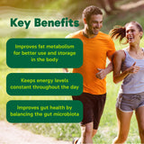 Organika Berberine - High Potency 1000mg per Day, Cholesterol and Glucose Metabolism Support, Helps Maintain Cardiovascular Health - 60vcaps