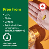 Organika Canadian-Made Bloat Relief- Helps Relieve Bloating and Flatulence- Herbal Blend of Sweet Fennel, Turmeric, and Milk Thistle- Digestive Support- 120vcaps
