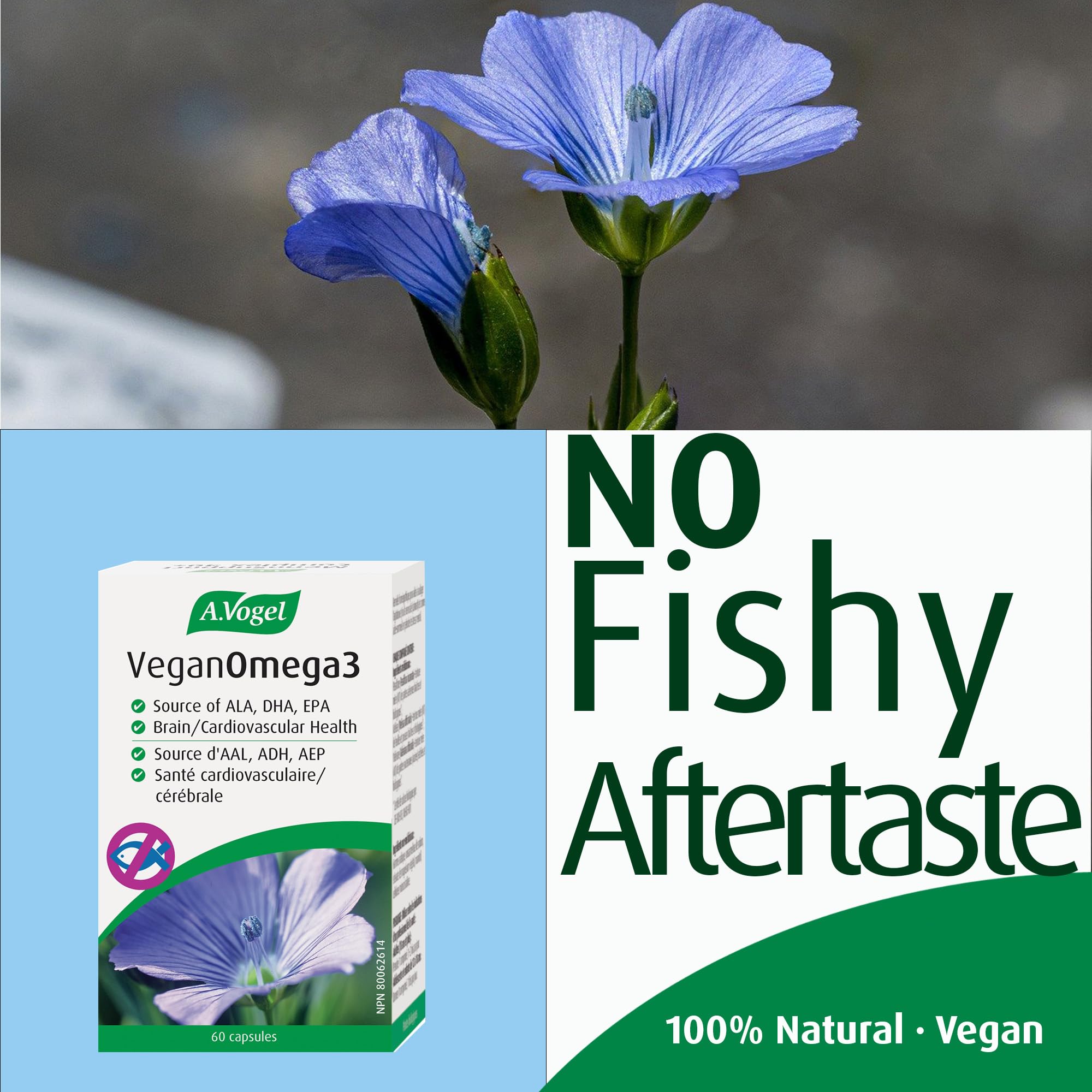 A.Vogel Vegan Omega 3- No Fishy Aftertaste - Sugar, Gluten and Lactose Free - 60 Vegan Capsules