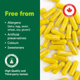 Organika Berberine - High Potency 1000mg per Day, Cholesterol and Glucose Metabolism Support, Helps Maintain Cardiovascular Health - 60vcaps
