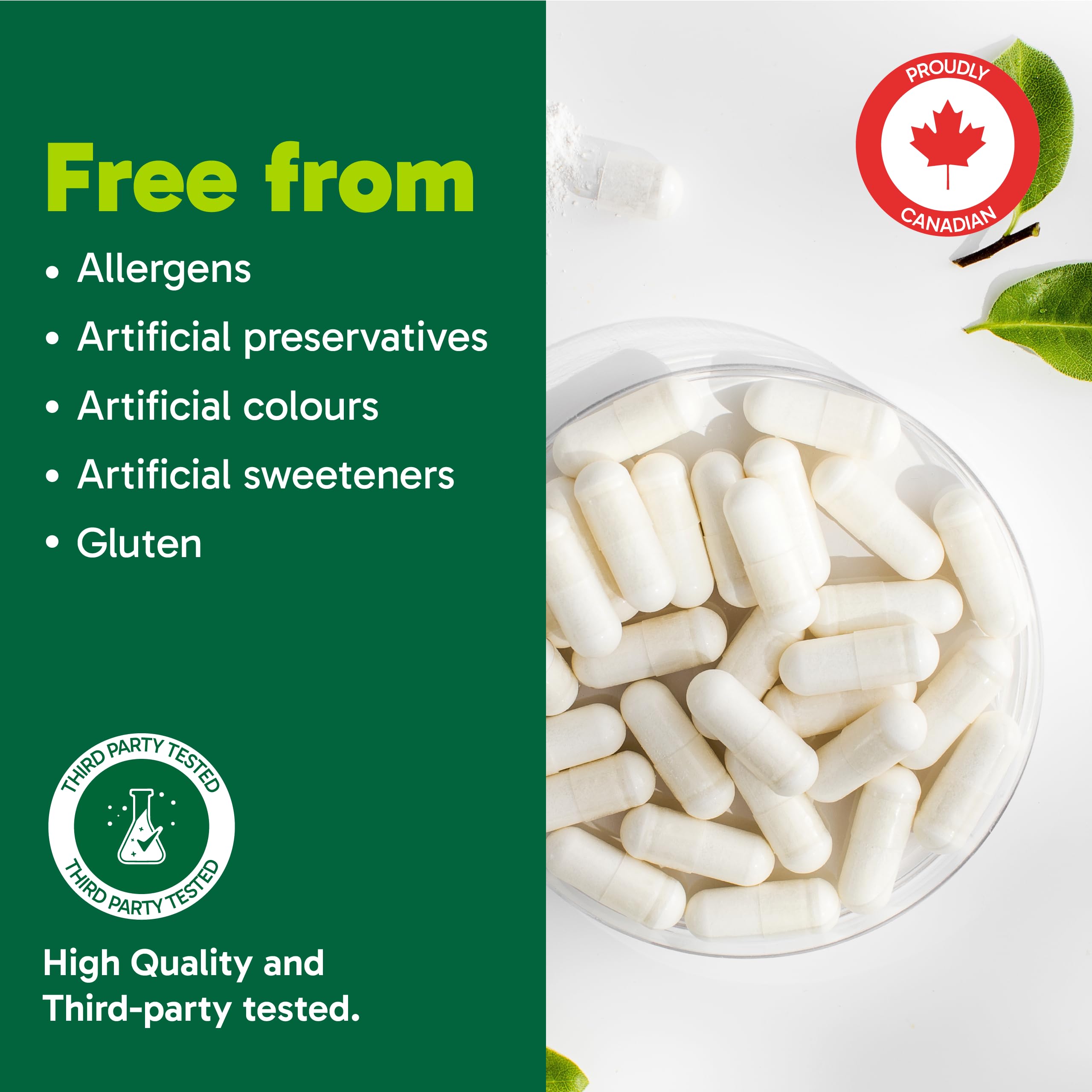 Organika Nattokinase 2000 FU Cardiovascular Support – High-Potency, Heart & Blood Circulation Supplement– One Capsule per Day, Non-GMO, Vegan, Gluten-Free – 90vcaps