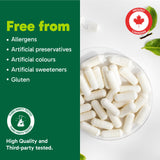Organika Nattokinase 2000 FU Cardiovascular Support – High-Potency, Heart & Blood Circulation Supplement– One Capsule per Day, Non-GMO, Vegan, Gluten-Free – 90vcaps
