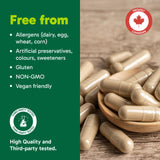 Organika Canadian-Made NMN + PQQ- Anti-Aging Support Supplement, Cellular Revitalization, Energy Metabolism, Cognitive Function- 60vcaps