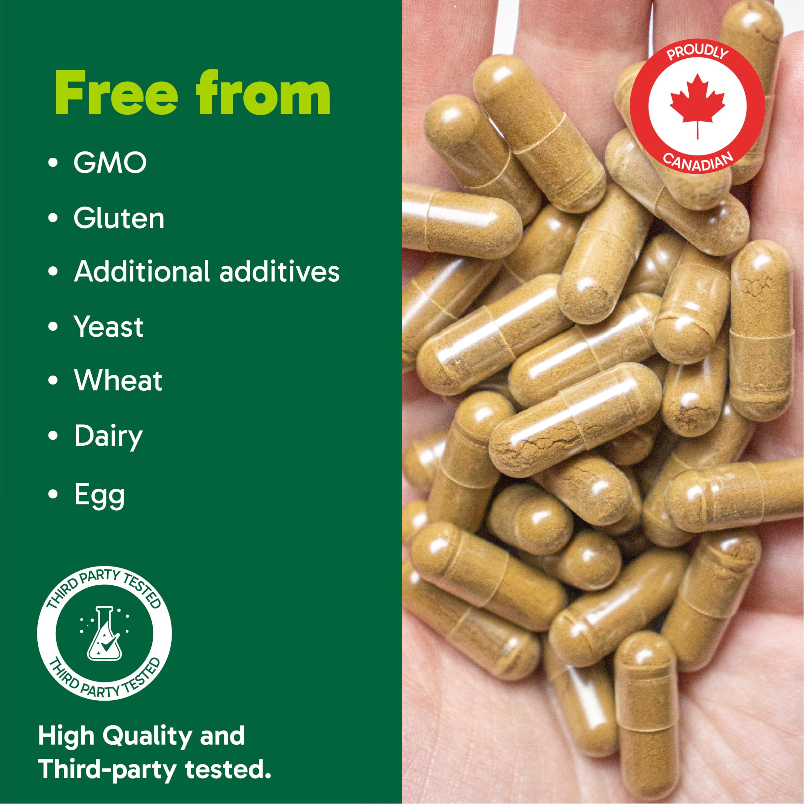 Organika Canadian-Made Ashwagandha with Black Pepper- Enhanced Absorption, Memory Support, Sleep Aid, Adaptogenic- 90vcaps