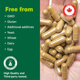 Organika Canadian-Made Ashwagandha with Black Pepper- Enhanced Absorption, Memory Support, Sleep Aid, Adaptogenic- 90vcaps