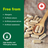Organika Canadian-Made Ma's Milk- Supports Breast Milk Production- Contains Blessed Thistle, Fenugreek, and Moringa- 120 vcaps