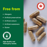 Organika Himalayan Shilajit 500mg (3% Fulvic Acid) – High Potency Rejuvenative Tonic from Plant Based Fulvic Acid to Support Natural Energy, Testosterone, and Vitality – One Capsule per Day – 60vcaps
