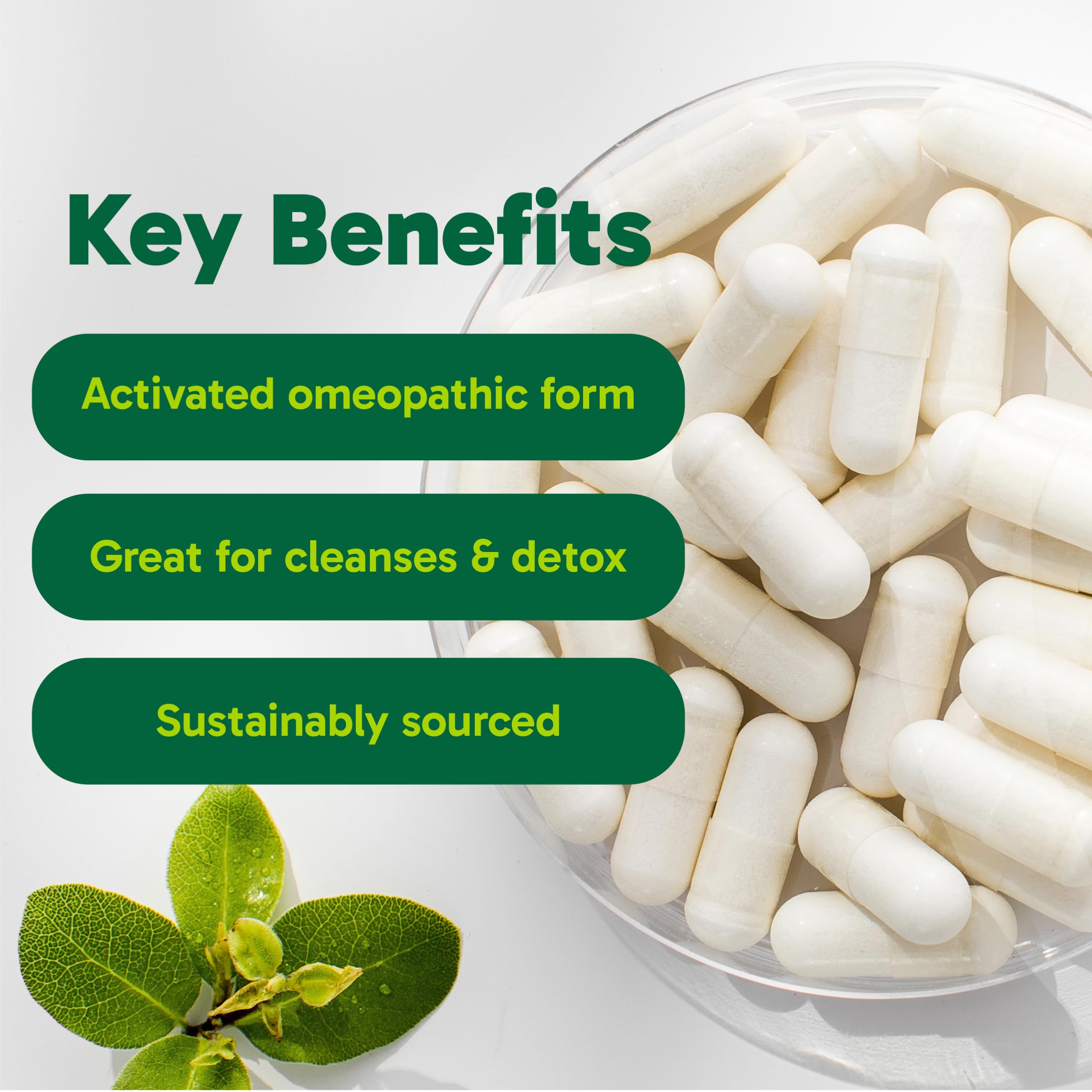 Organika Canadian-Made Activated Charcoal - Homeopathic Charcoal, Digestive Support, Detox, Gas and Bloating Support- 90vcaps