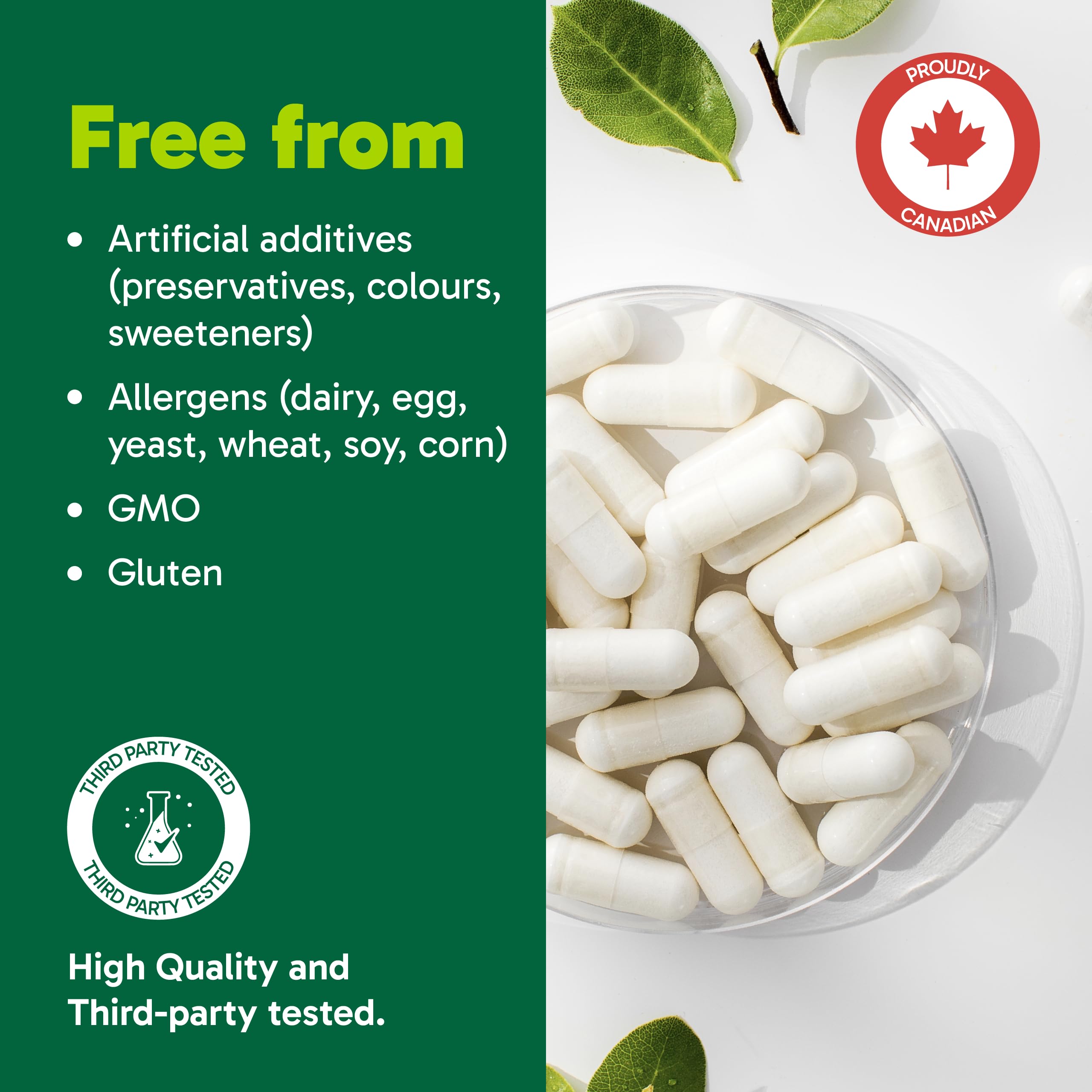 Organika Grape Seed Extract (Hi Potency 95 % Opc) 120 Caps