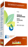 Boiron Gemmotherapy Aesculus hippocastanum buds (horse chestnut) 1dh, homeopathic medicine. Format: 60ml