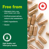 Organika Beef Liver Plus Choline- Sourced from Grass-Fed + Finished Cattle, Pasture Raised, High in Vitamins and Minerals, Supports Liver Function, Energy Levels, and Immunity- 90caps