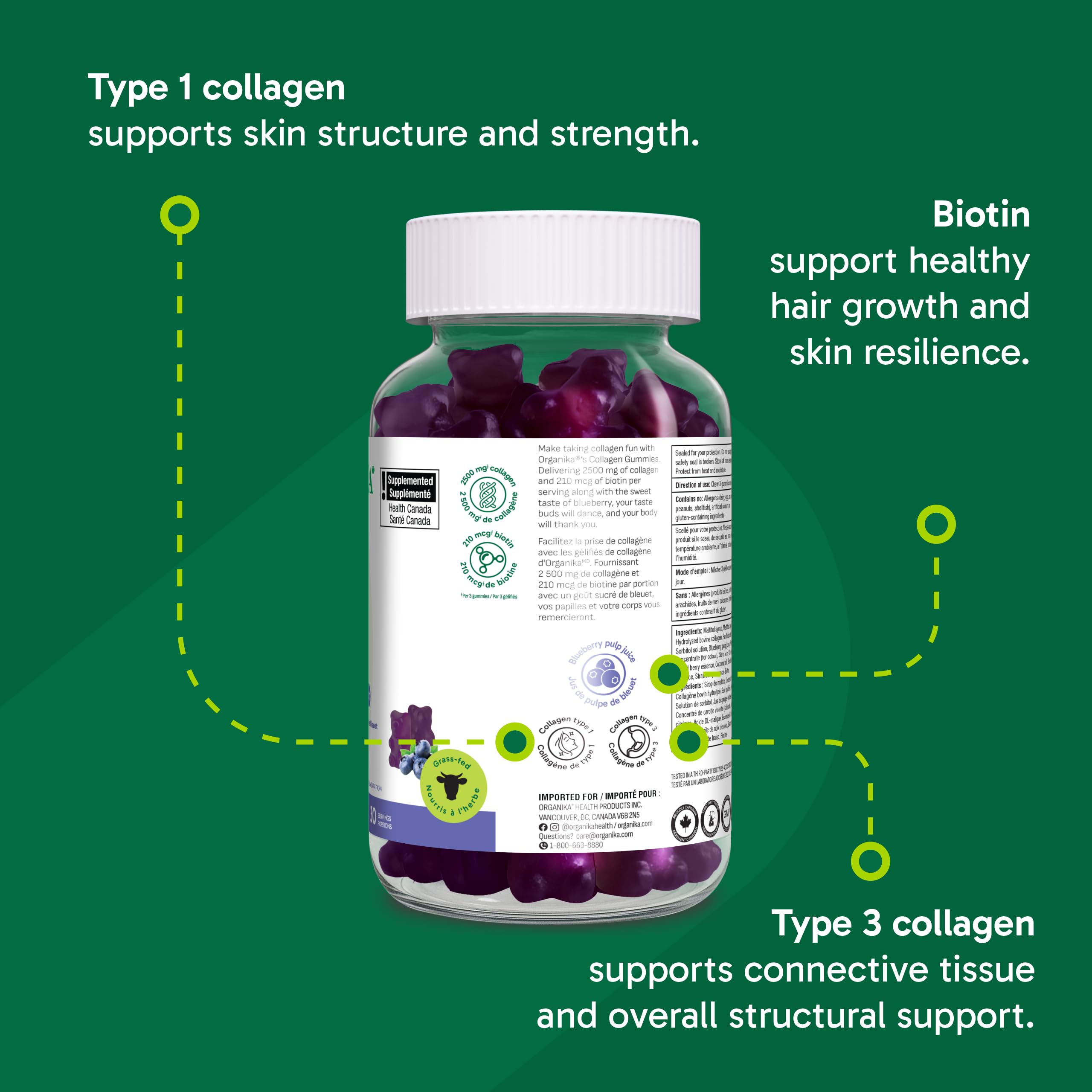 Organika Collagen Gummies with Biotin – 2500 mg Collagen Per Serving for Skin, Hair and Joint Health – Blueberry Bliss Flavour, Easy to Take – 90 Gummies