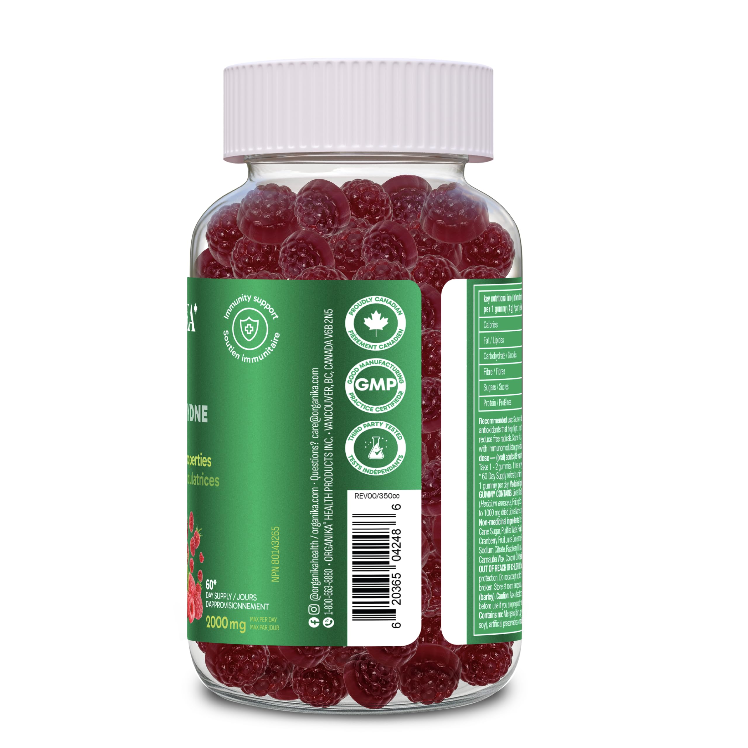 Organika Lion’s Mane Mushroom Gummies – 2000 mg Equivalent per Serving | Brain & Immune Support | Antioxidant Mushroom Supplement | Raspberry Flavour- 60 gummies