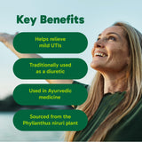 Organika Canadian-Made Chanca Piedra 500 mg - UTI Support | Kidney, Gallblader and Urinary Support, Cleansing- 120 vcaps