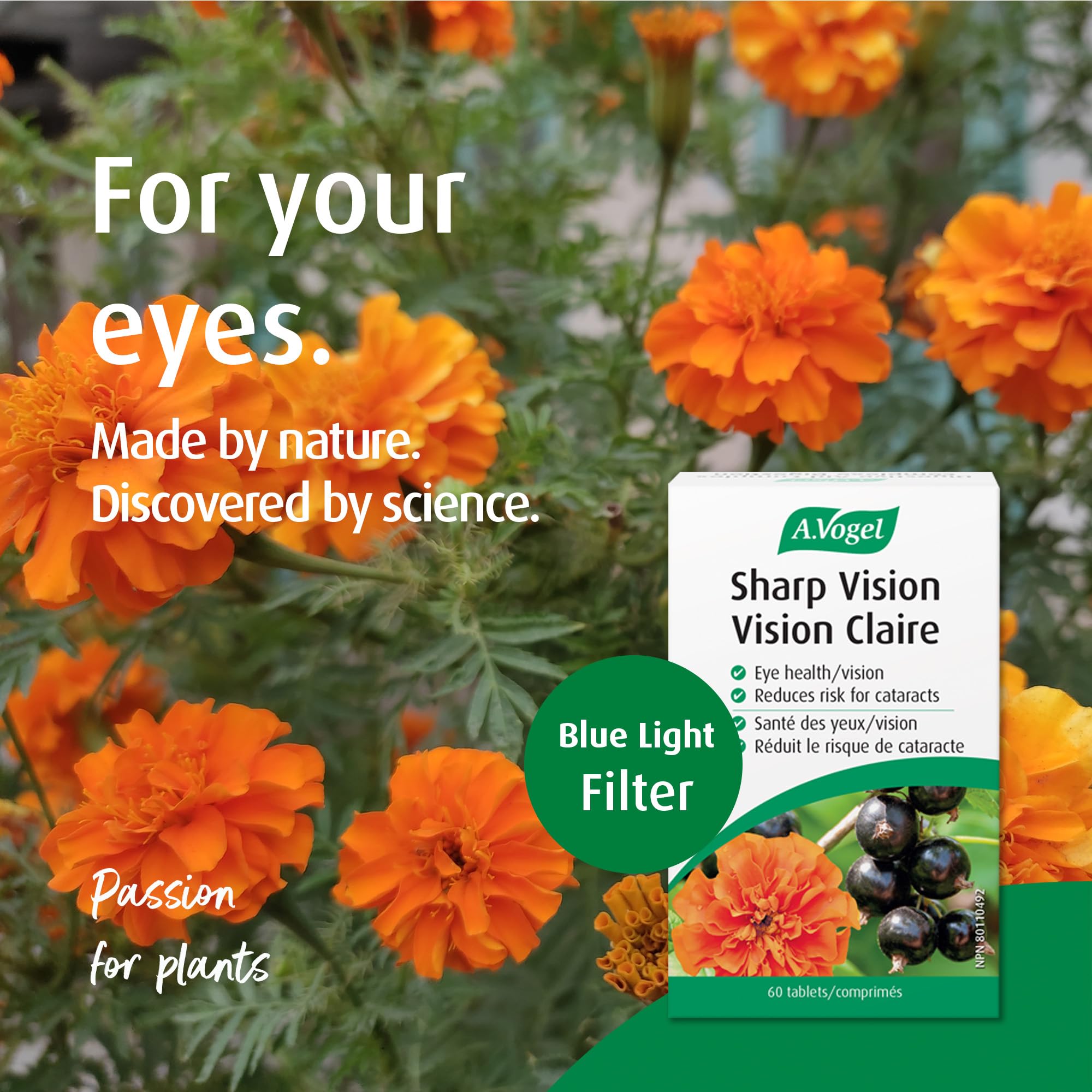 A.Vogel Sharp Vision 60 Tabs – Blue-Light Filter Eye Supplement with Lutein, Zeaxanthin & Zinc for Cataract & Macular Support, Sugar‑Gluten‑Lactose Free